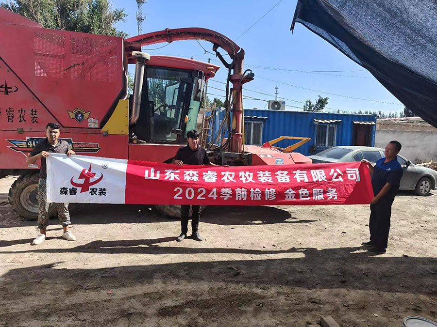 Pre-Season 2024 Maintenance, Golden Service-Xinjiang Station