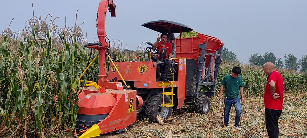 4QZ-2000 Type Green Fodder Harvester Harvests Corn In Dadan County Of Hebei Province