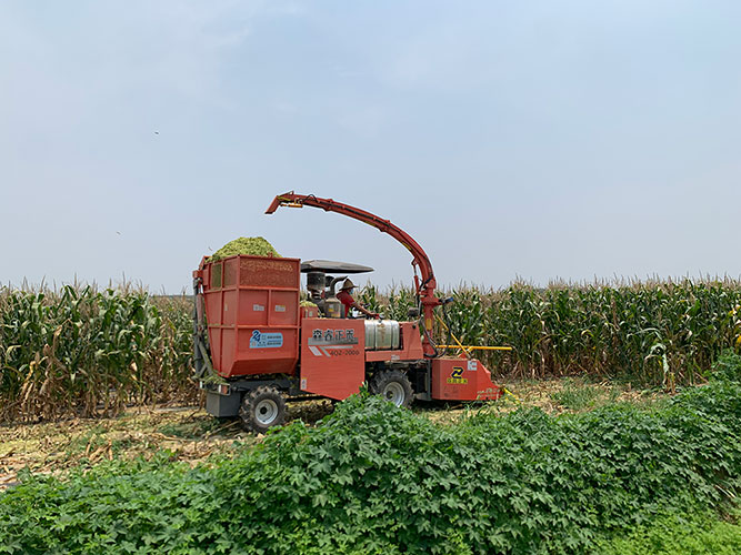 2.020m Self Propelled Forage Harvester For Sale