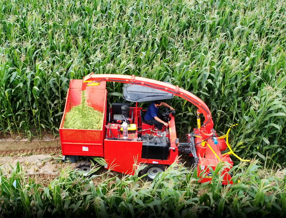 Máquina de almacenamiento verde de 1.480 m