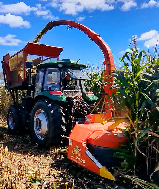 Best Forage Harvester