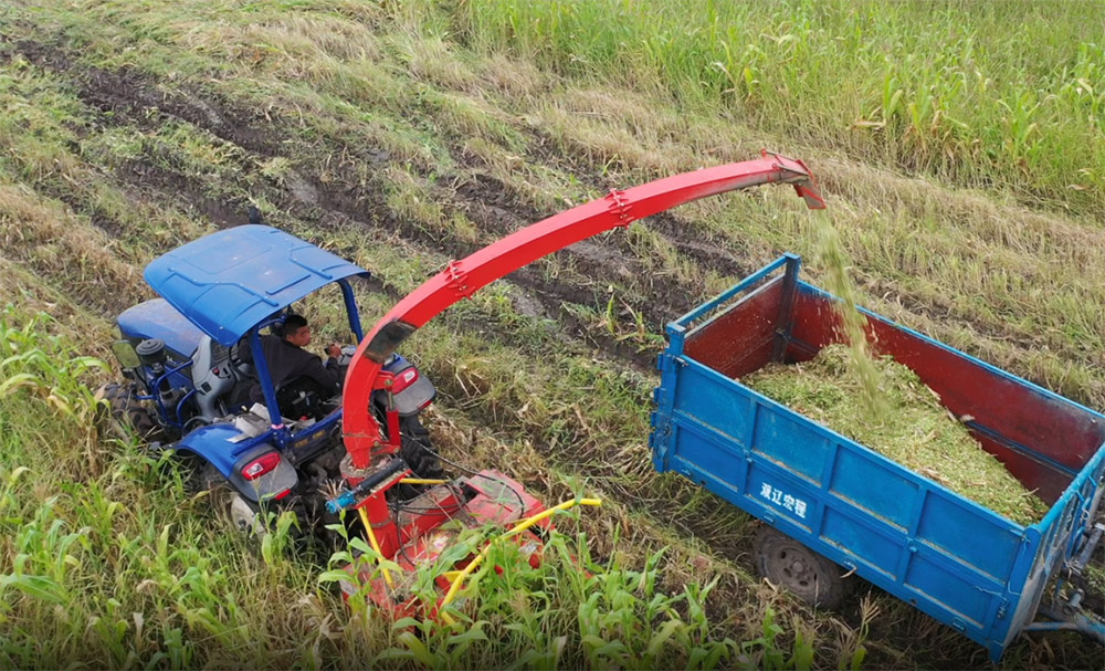 Máy thu hoạch thức ăn gia súc gắn trên