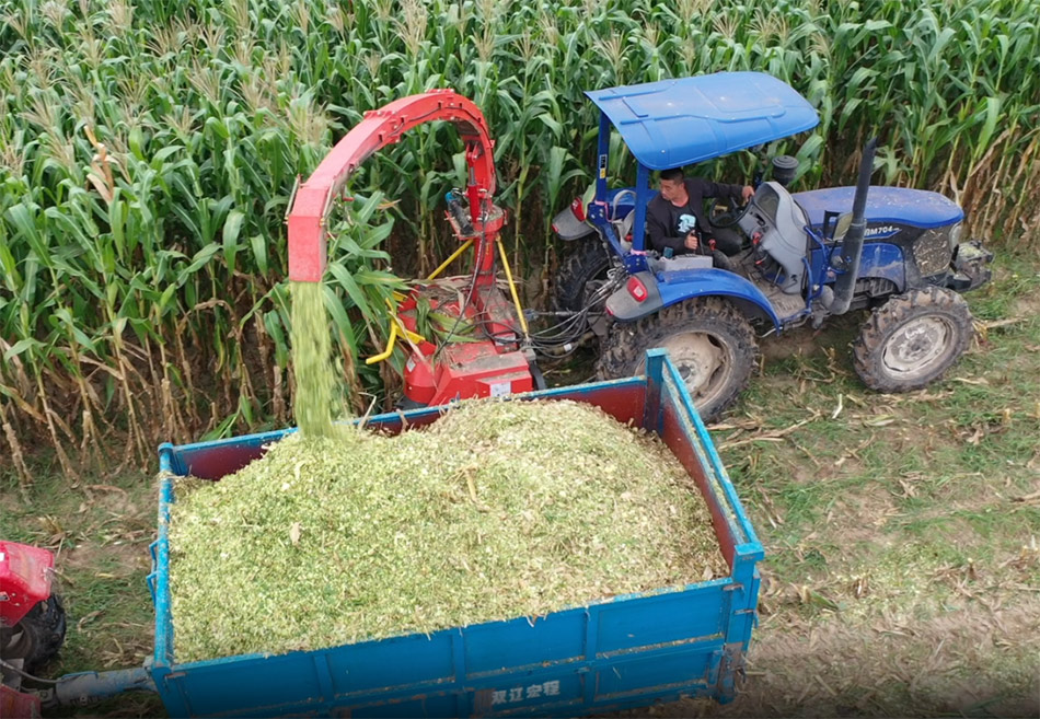 Mounted Forage Harvester