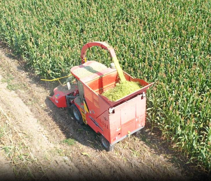 Máquina trituradora de alimentación de 2.620m