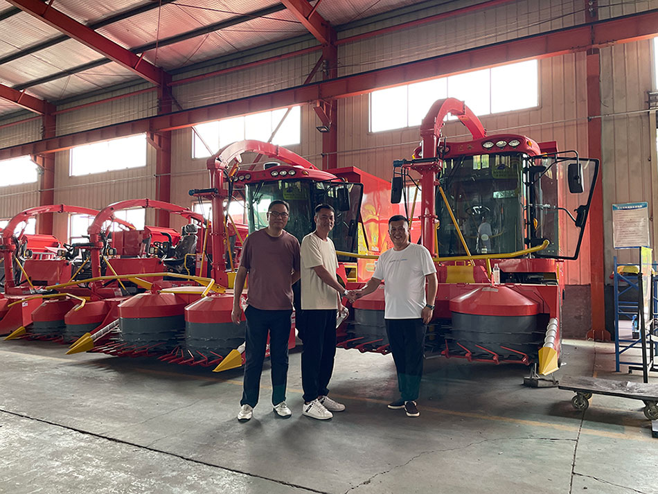 Dahe series hanging green fodder harvester 4QX1800 export container