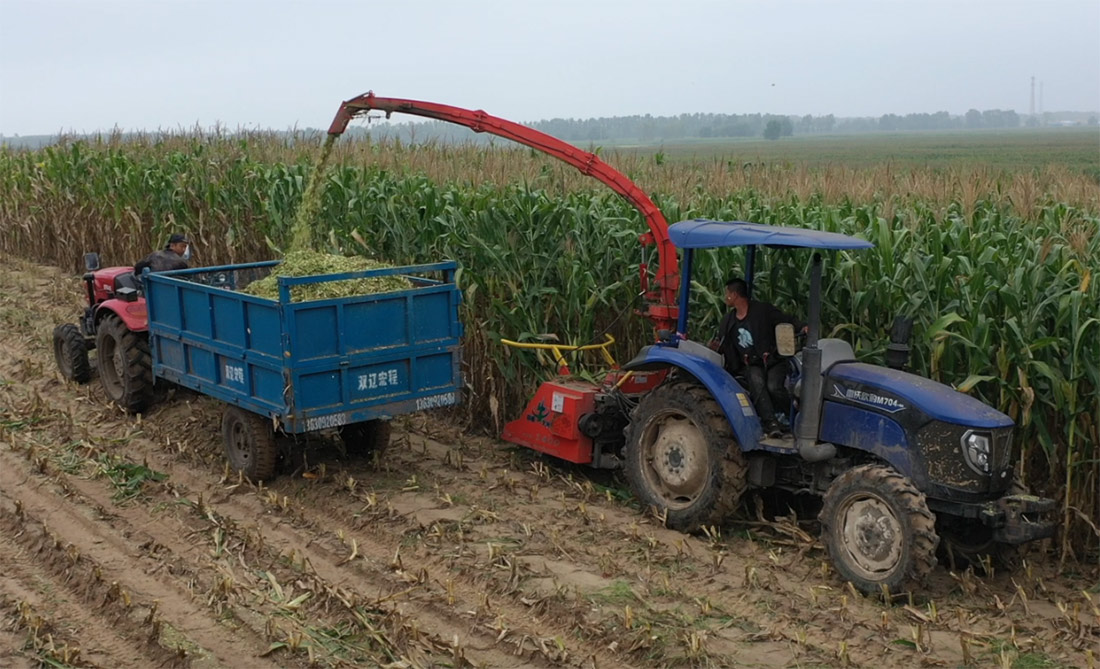  Hanging Forage Harvester For Sale